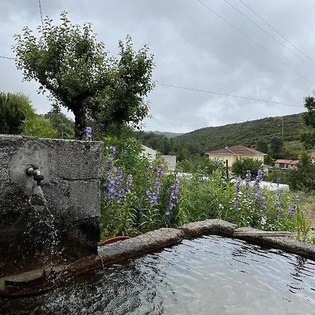 بيت للعطل Benfeito *