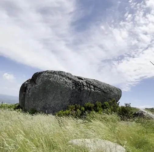 Σπίτι διακοπών Benfeito Campo Benfeito