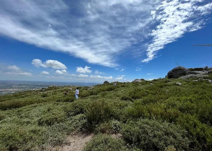 Casa de Férias Benfeito