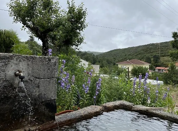 Casa de Férias Benfeito *