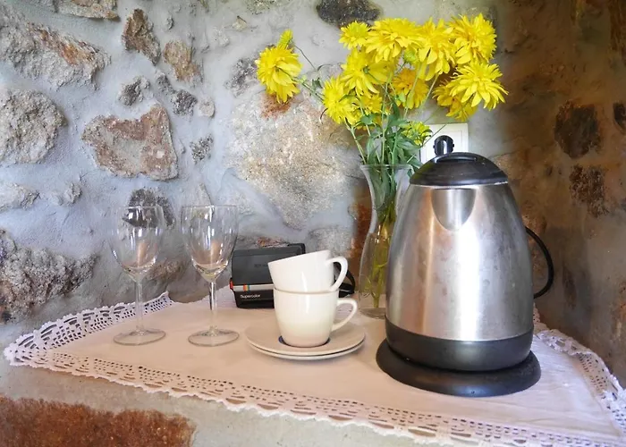 Casa de Férias Benfeito