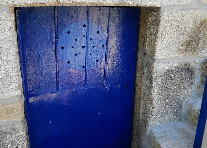 Benfeito Casa de Férias Campo Benfeito